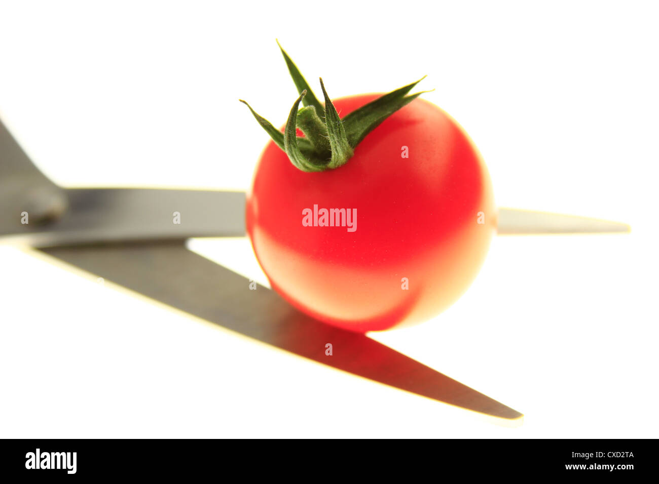 Tomato cutter Stock Photo