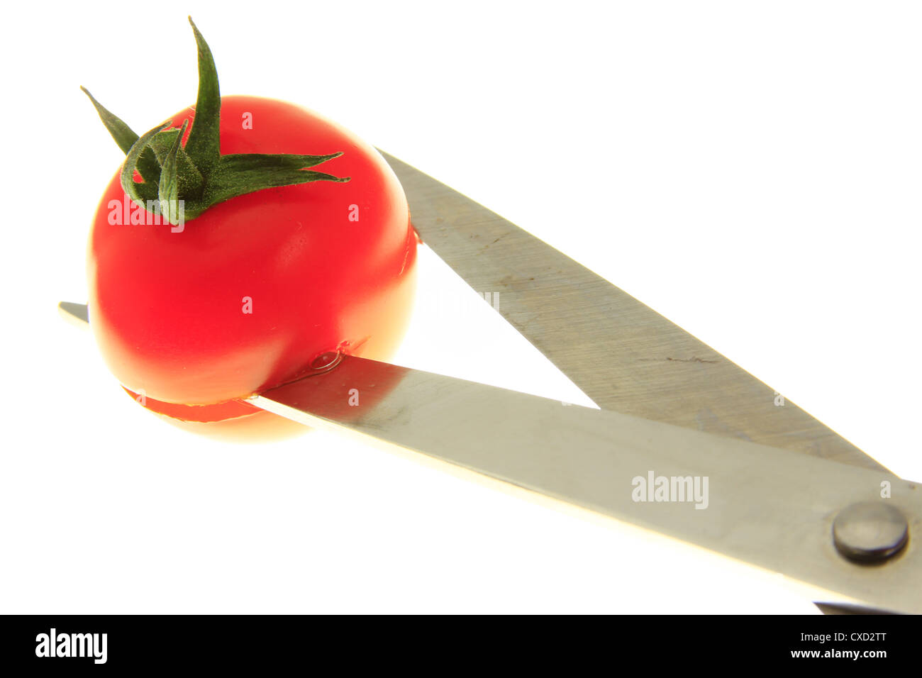 Tomato cutter Stock Photo