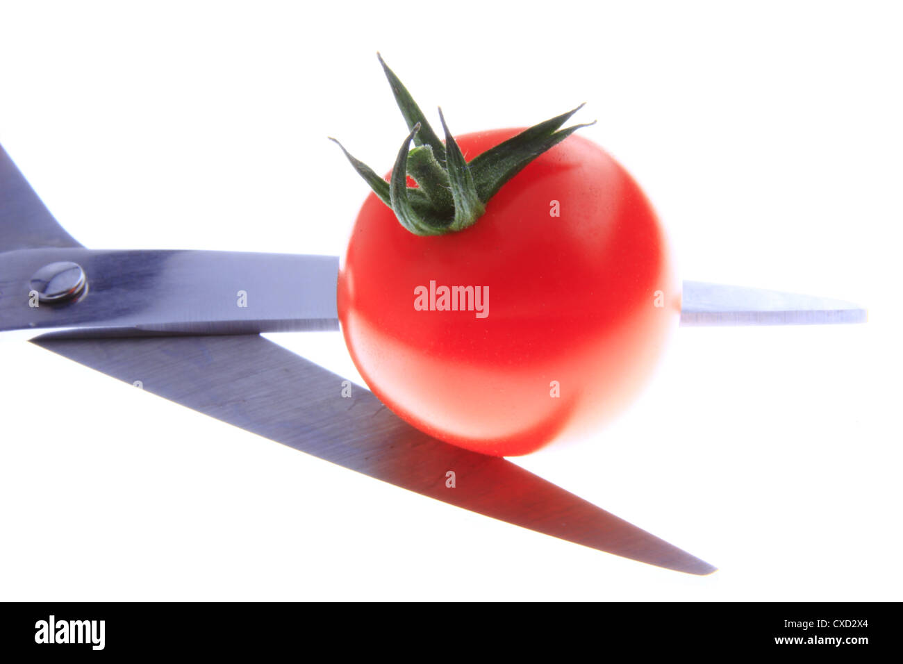 Tomato cutter Stock Photo