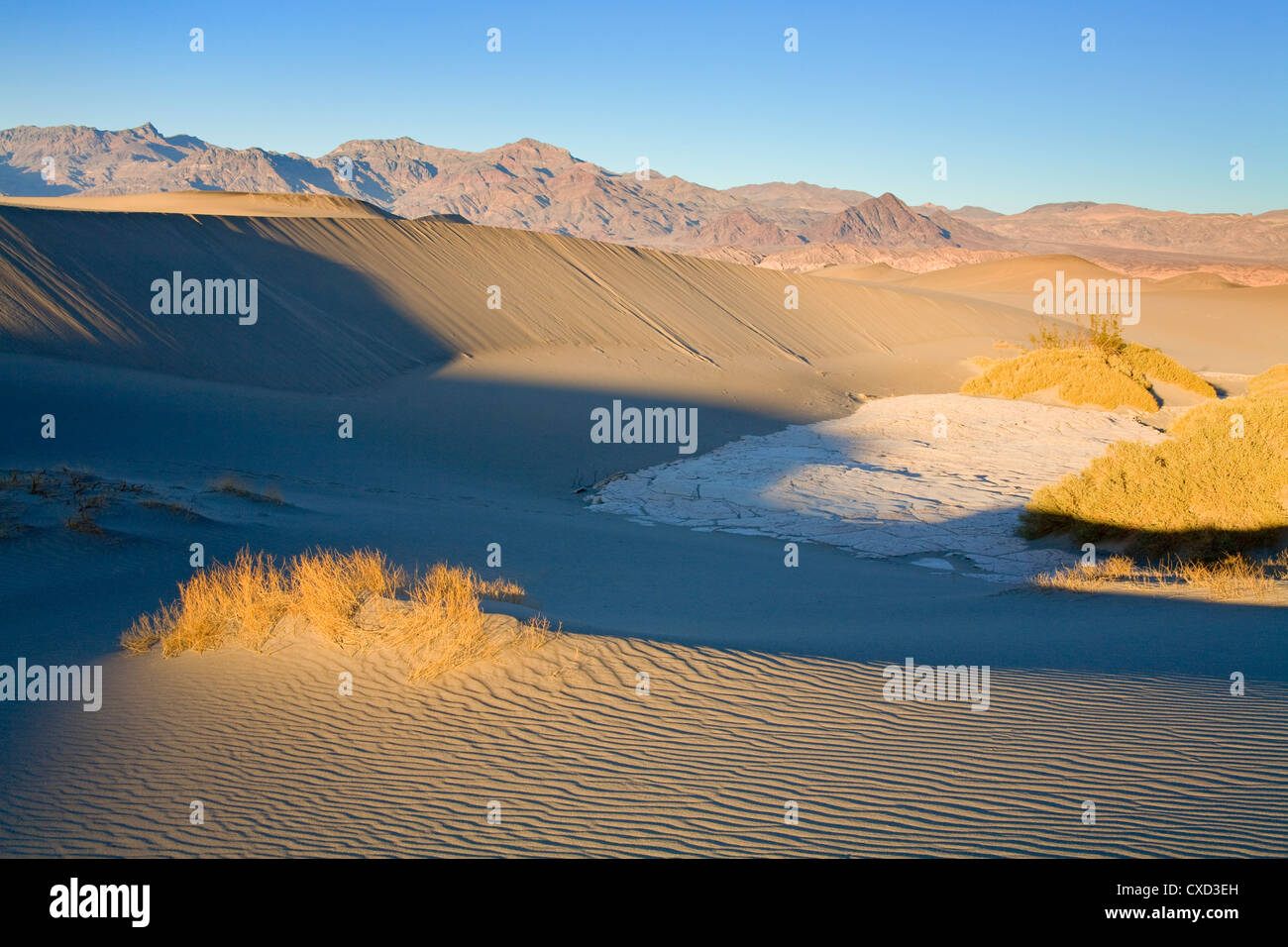 Mesquite Flat Sand Dunes, Death Valley National Park, California, United States of America, North America Stock Photo
