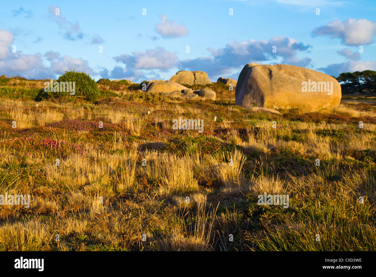 Beautiful landscape with granite boulders, Brittany, France Stock Photo
