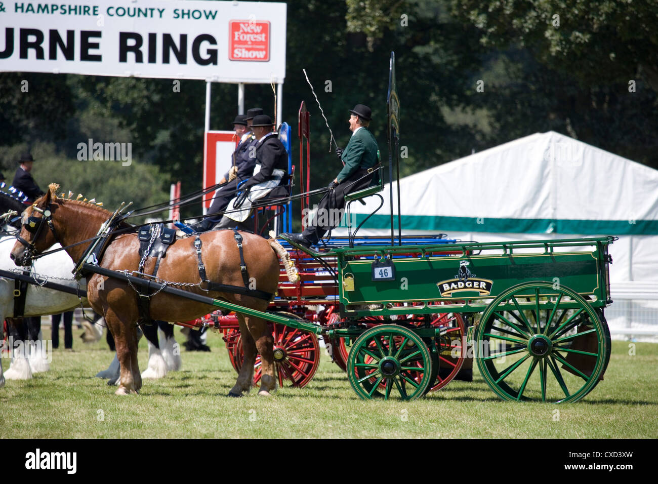 Horse and cart at the new forest show 2012 Stock Photo