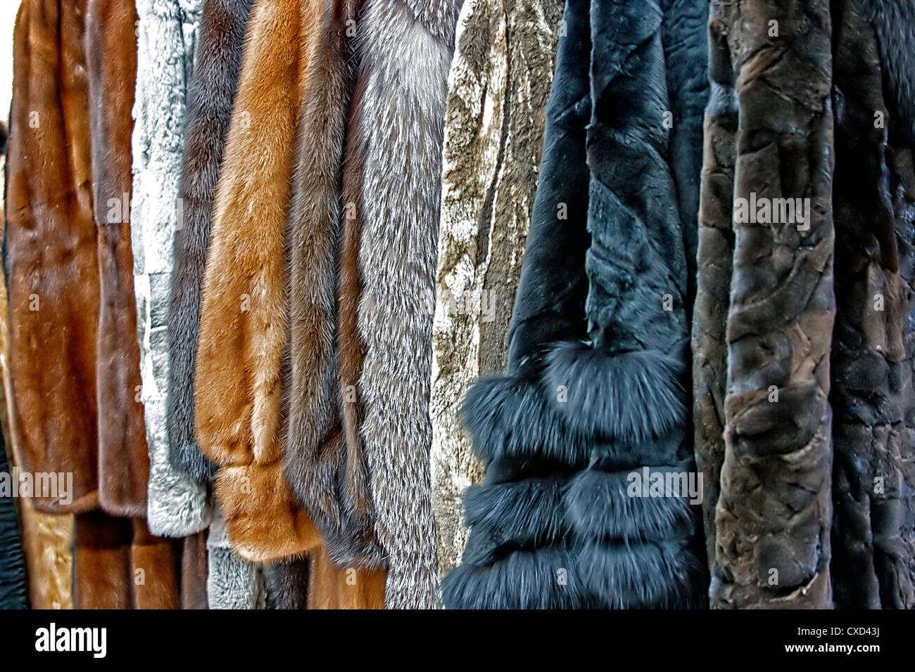 Fur coats made for ladies and exposed for sale Stock Photo Alamy