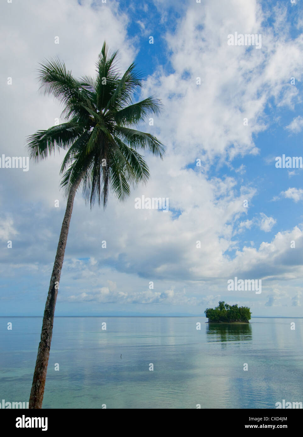 Sea resort view palm trees hi-res stock photography and images - Alamy