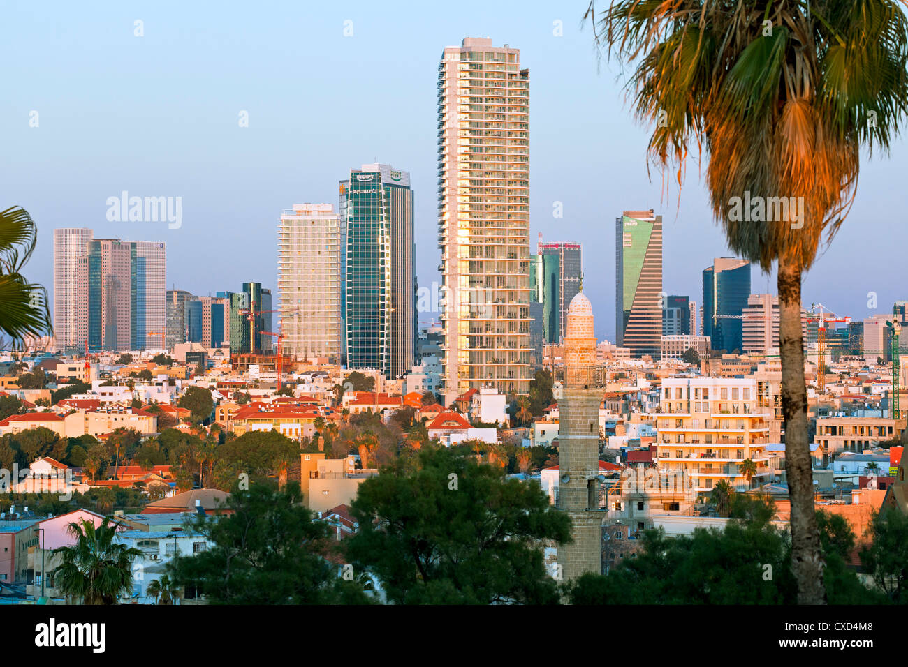 Downtown buildings viewed from HaPisgah Gardens Park, Jaffa, Tel Aviv, Israel, Middle East Stock Photo