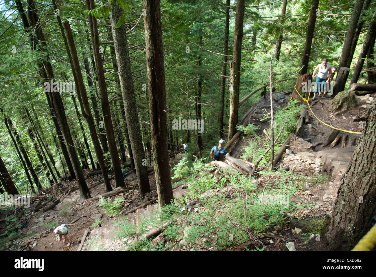 A view of the popular 'Grouse Grind' trail up Grouse Mountain, Vancouver Stock Photo