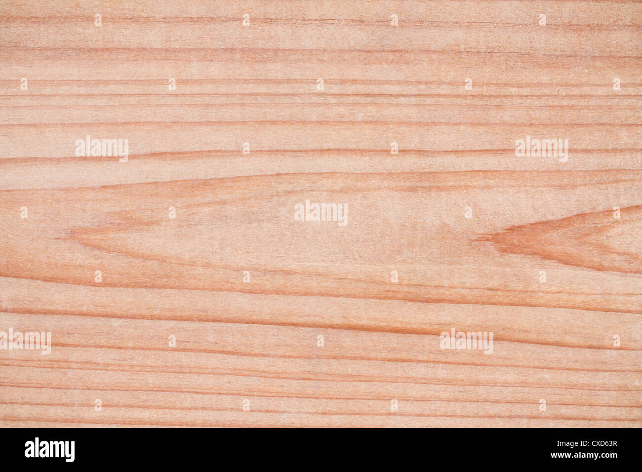 cedar board texture Stock Photo