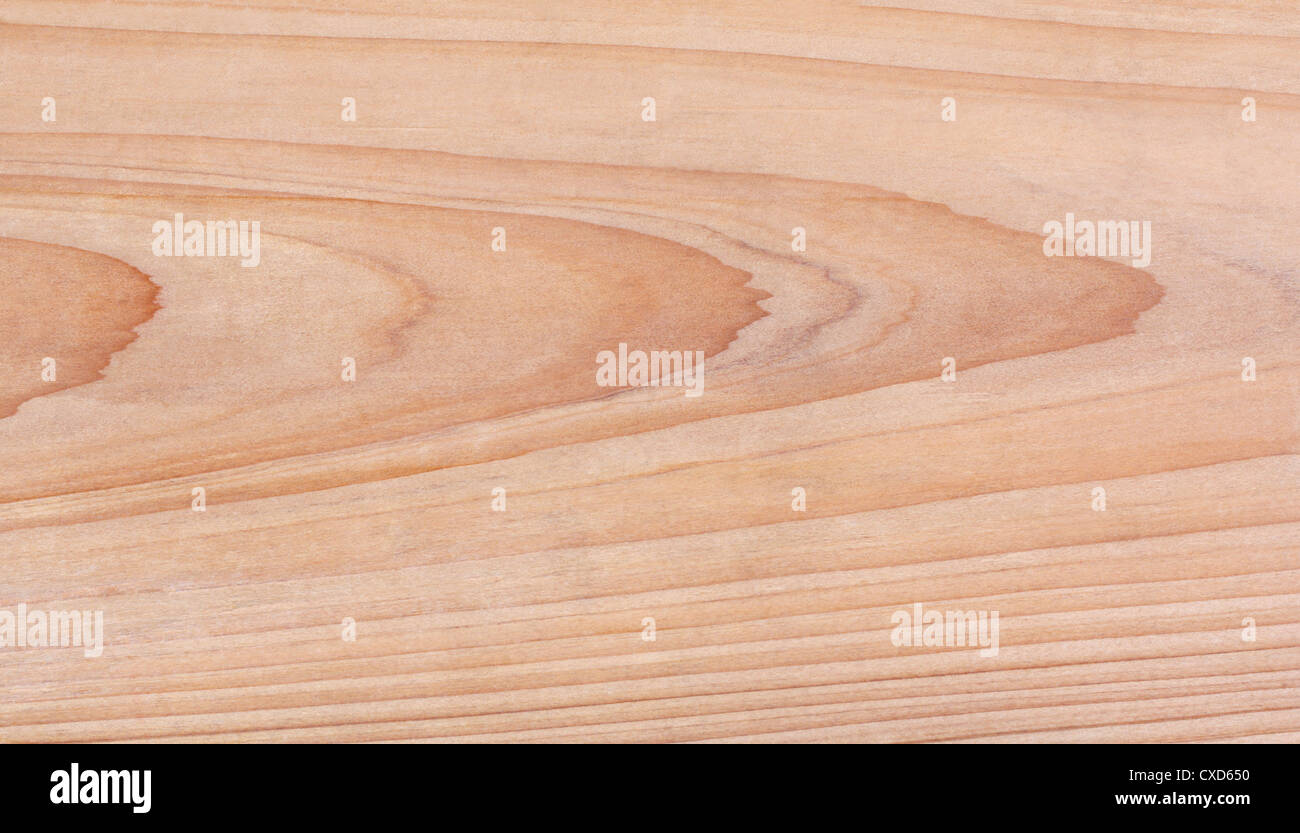 cedar board texture Stock Photo