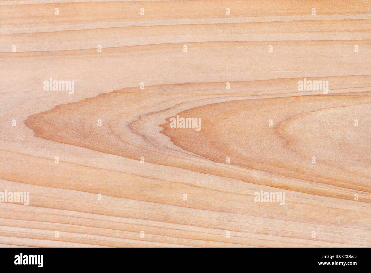 fir wood texture Stock Photo