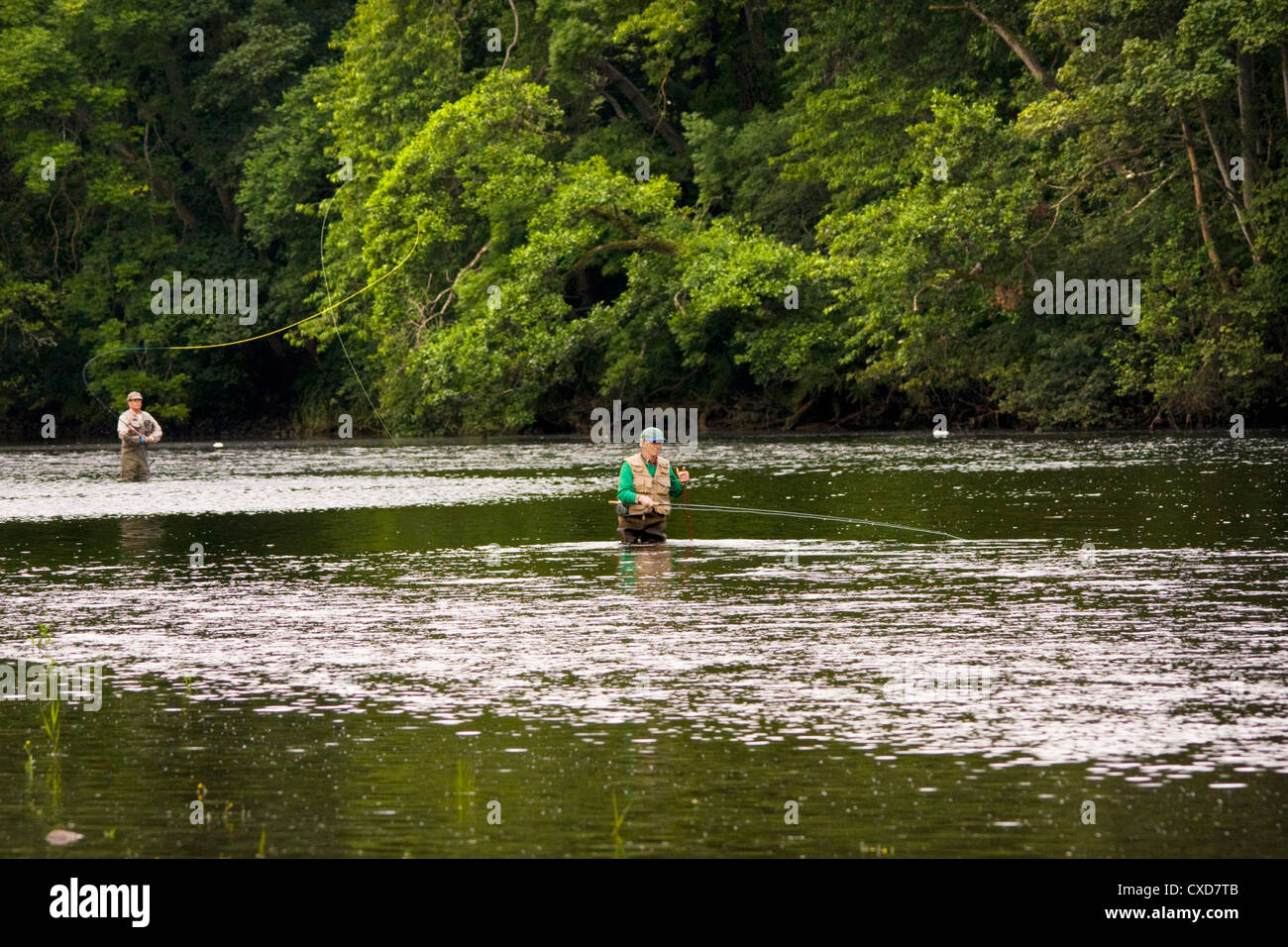 Salmon Fishing the River Beauly Stock Photo - Alamy