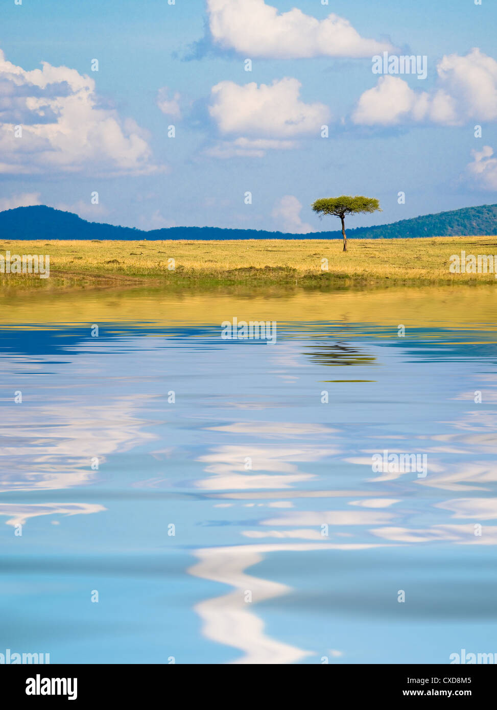 typical african landscape with reflection Stock Photo