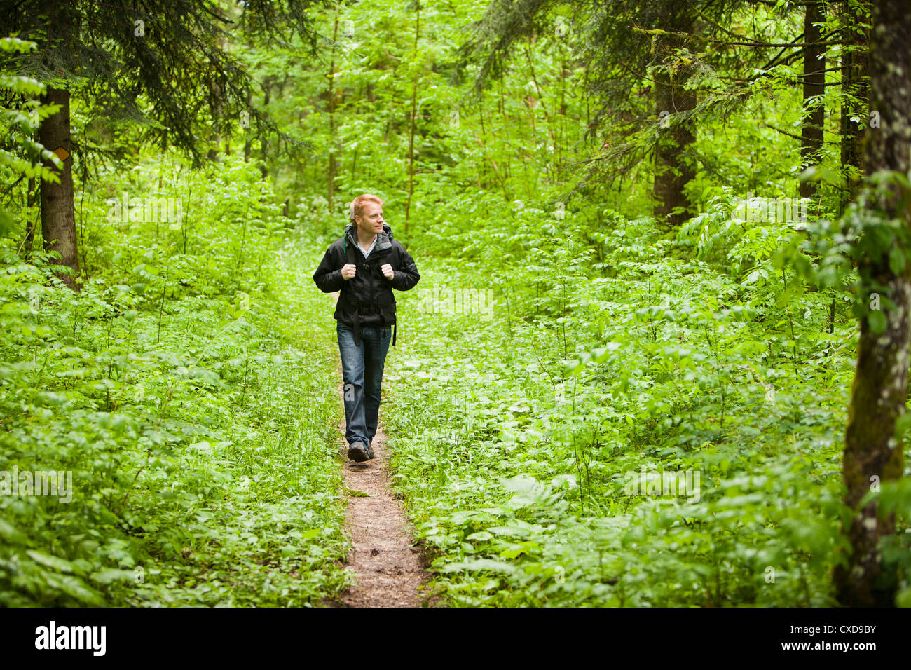 Man in woods hi-res stock photography and images - Alamy
