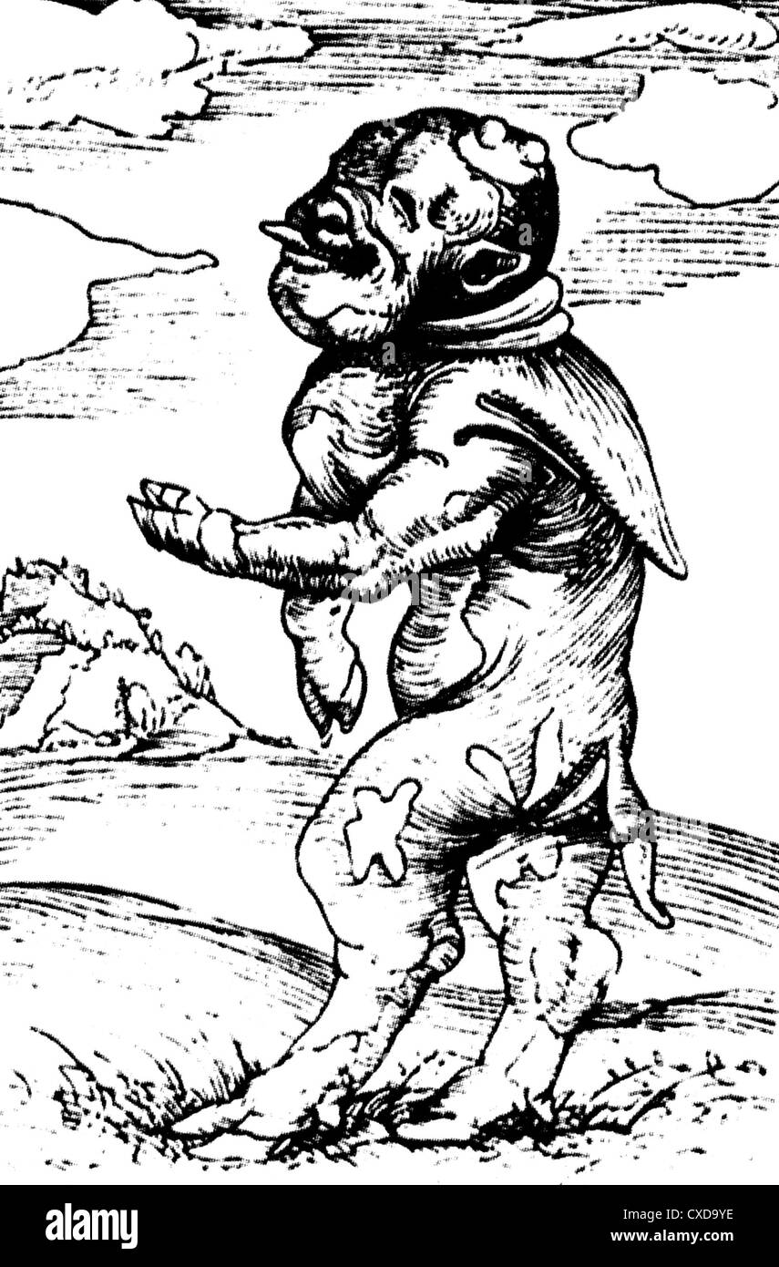 MONK CALF OF FREIBERG, Germany.  Woodcut of misshapen 1522 animal birth  used by Luther to represent Catholic Church Stock Photo