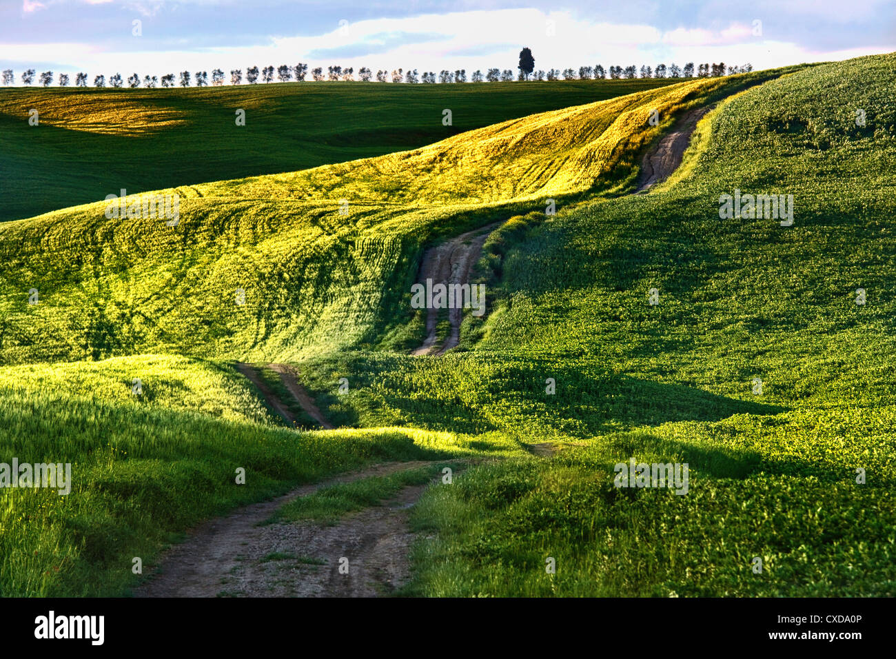 View beautiful typical green hilly hi-res stock photography and images ...
