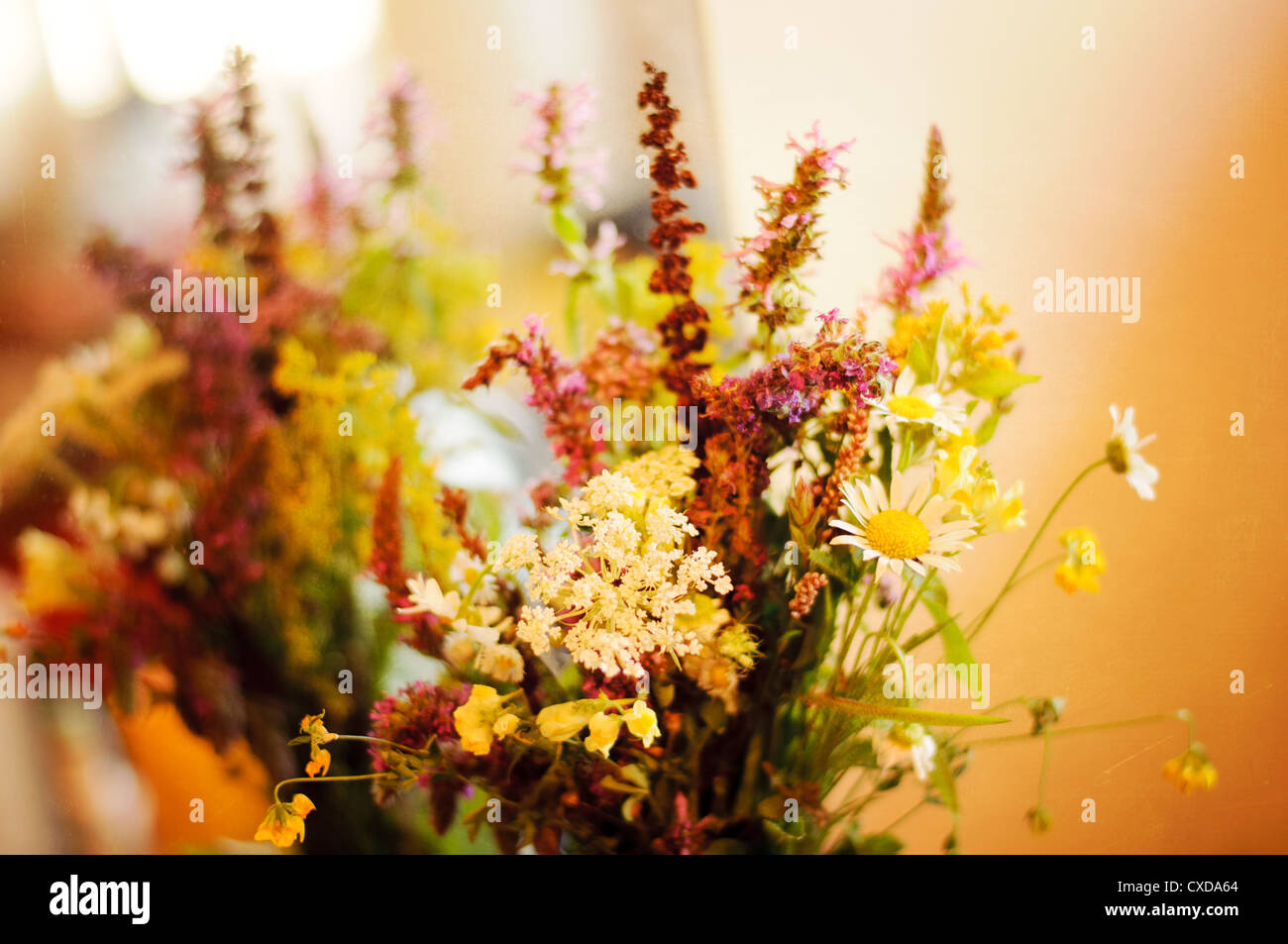 Bouquet wild flowers hi-res stock photography and images - Alamy