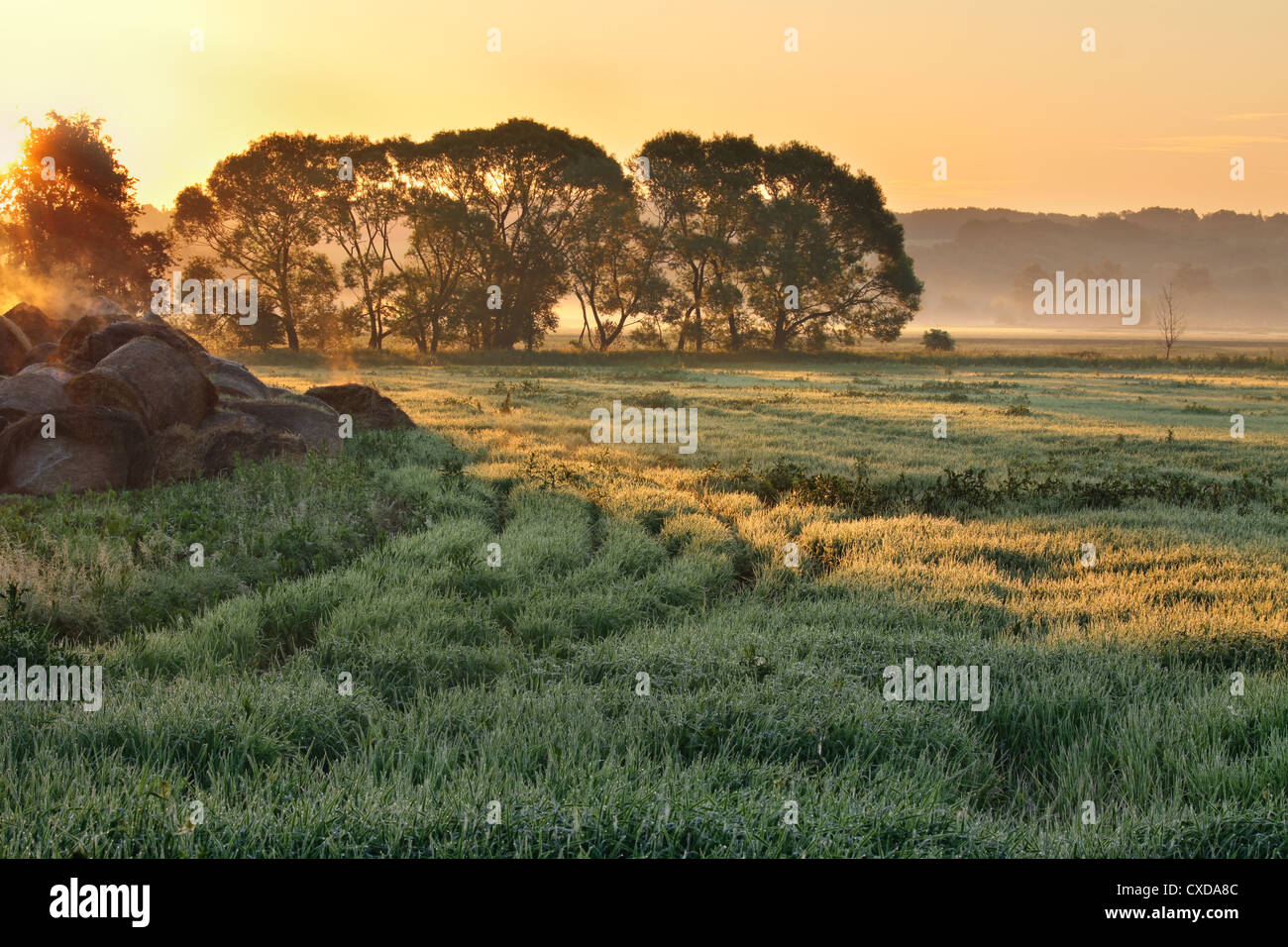 Beautiful sunset tuscany landscape hi-res stock photography and images ...