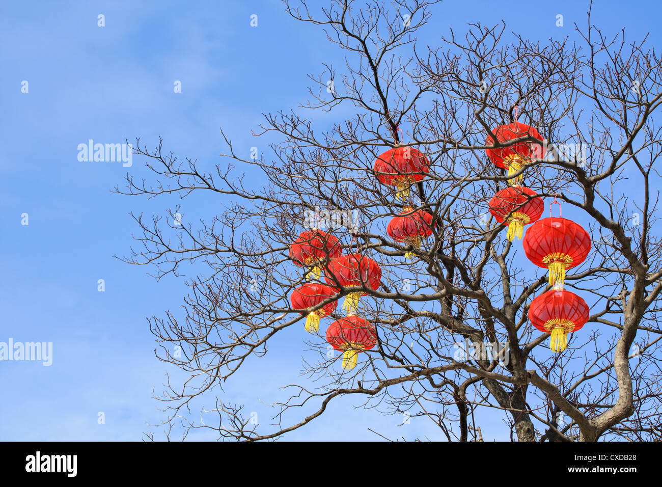 red lanterns on tree Stock Photo