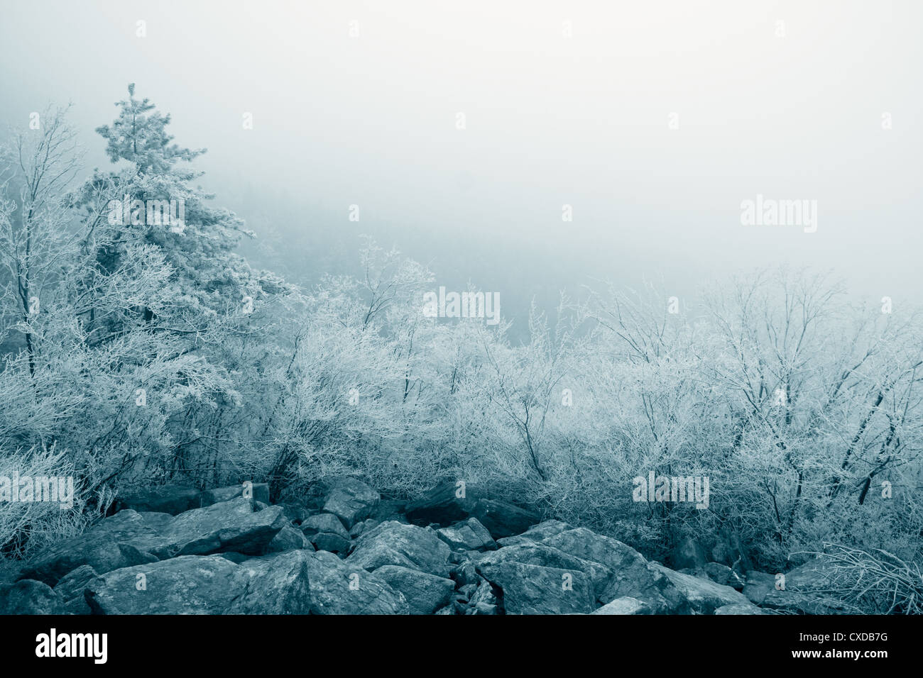 rime ice landscape Stock Photo