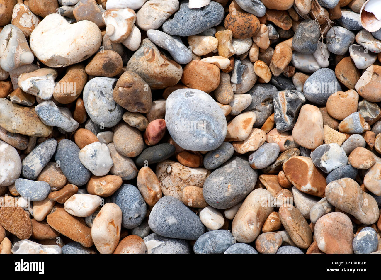 Pebble Beach, Sandwich Bay, Kent UK Stock Photo