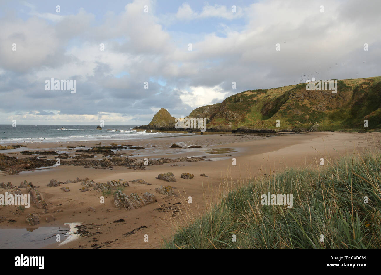 Sunnyside beach Scotland September 2012 Stock Photo