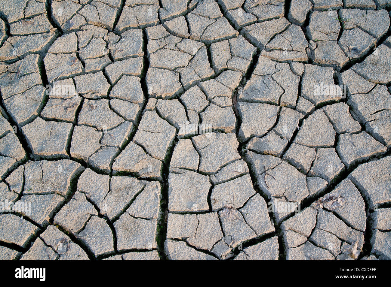 Clay soil with shrinkage cracks hi-res stock photography and images - Alamy