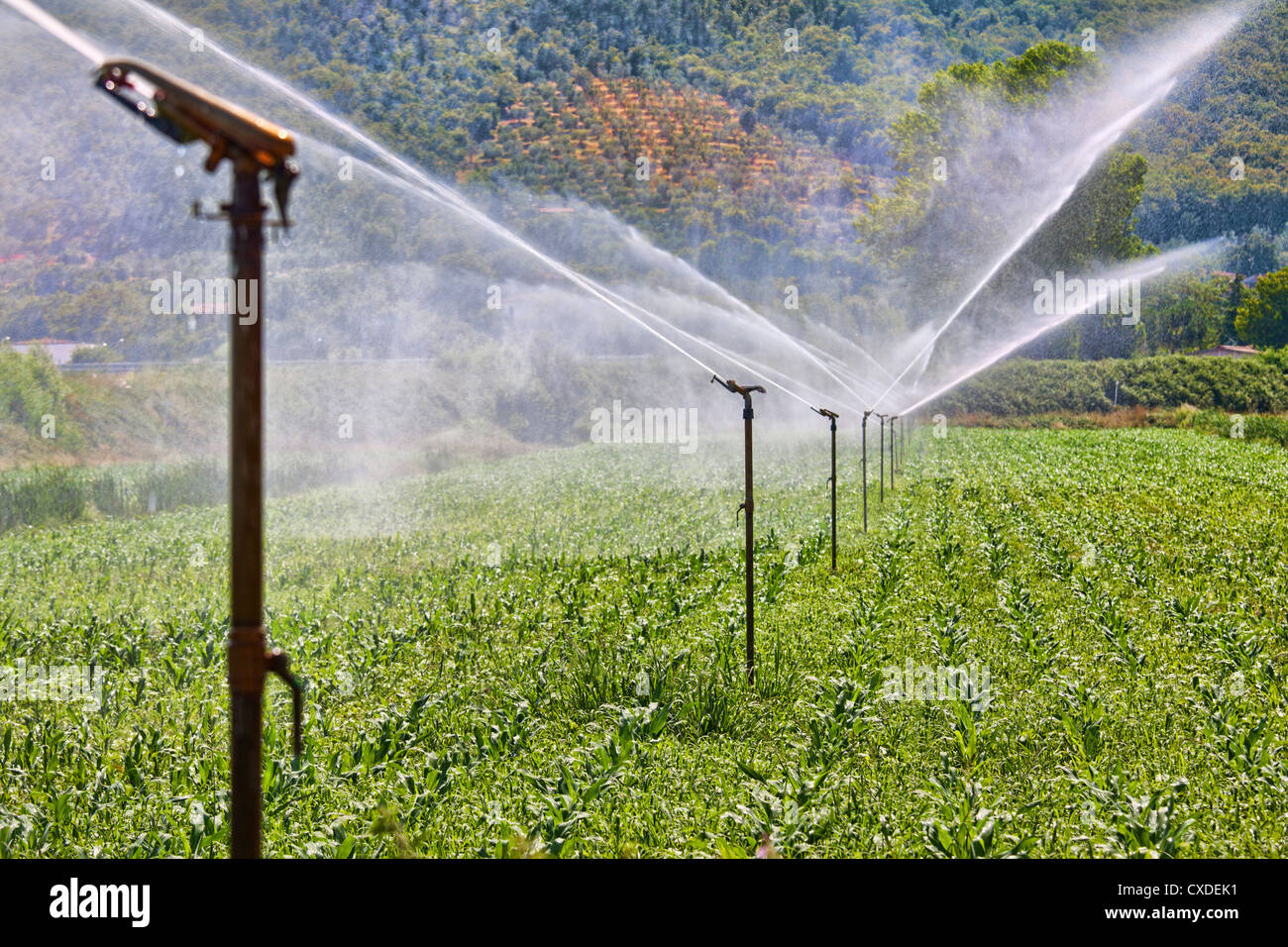 Irrigation system working on a farm Stock Photo