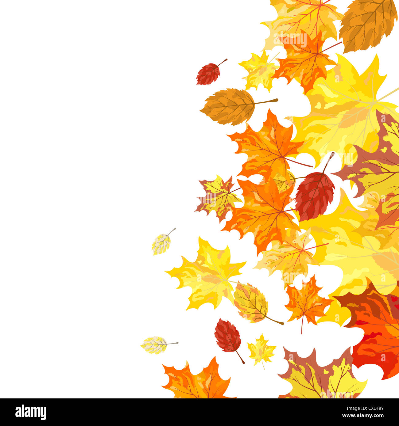 Autumn maple leaves background. Vector illustration Stock Photo - Alamy