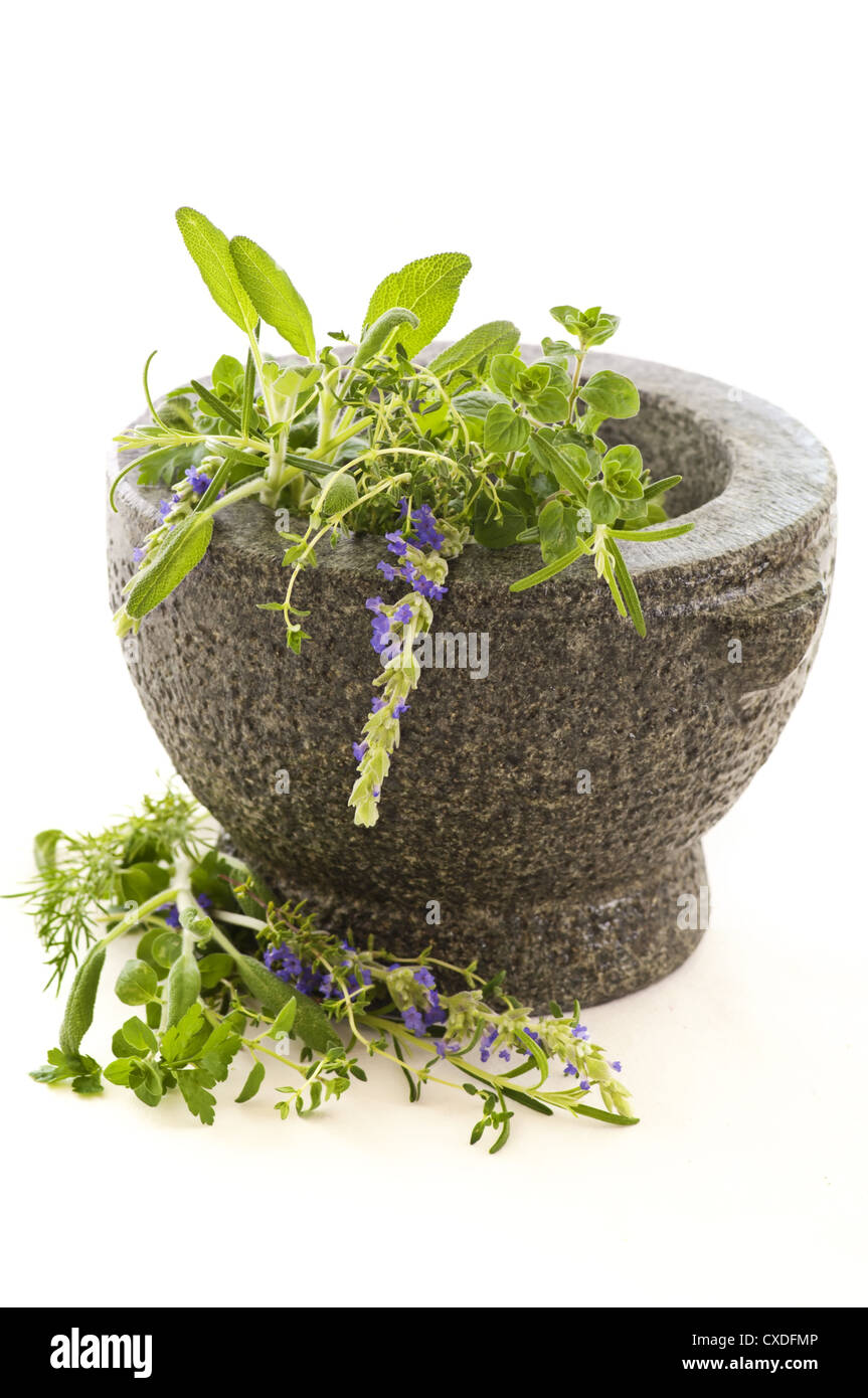 Fresh herbs in granite mortar Stock Photo