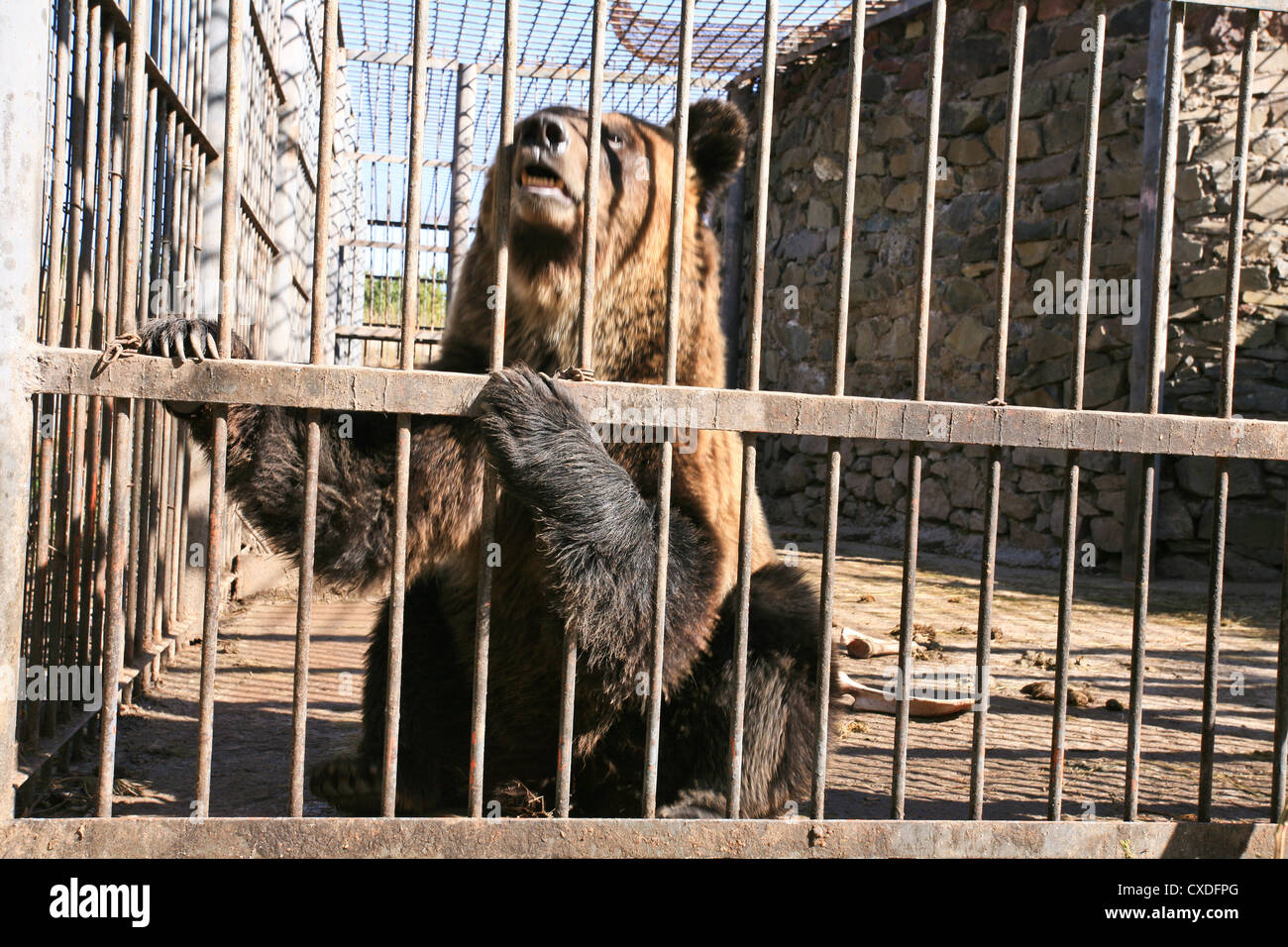 Big animal cage hi-res stock photography and images - Alamy