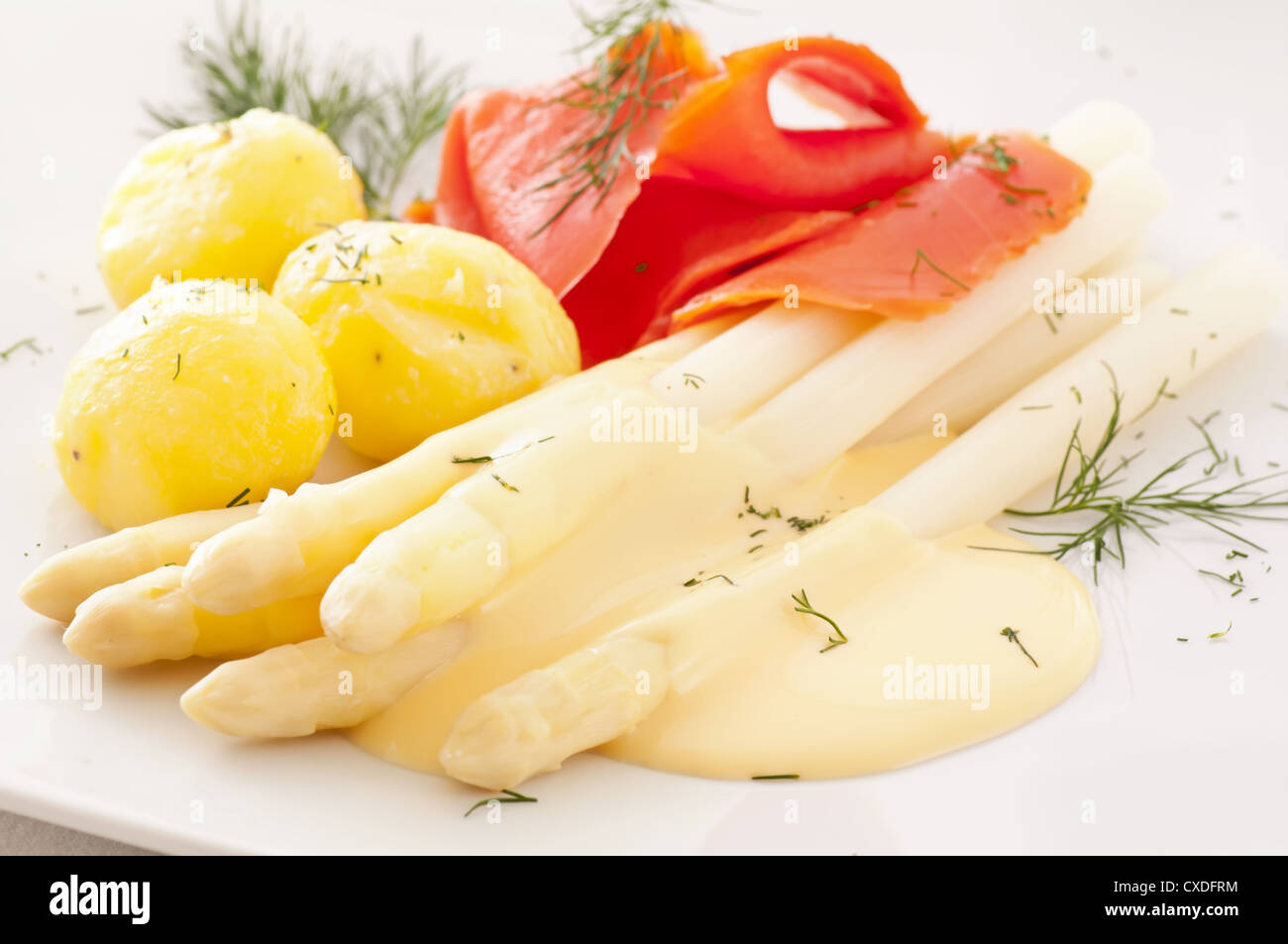 White asparagus germany hires stock photography and images Alamy