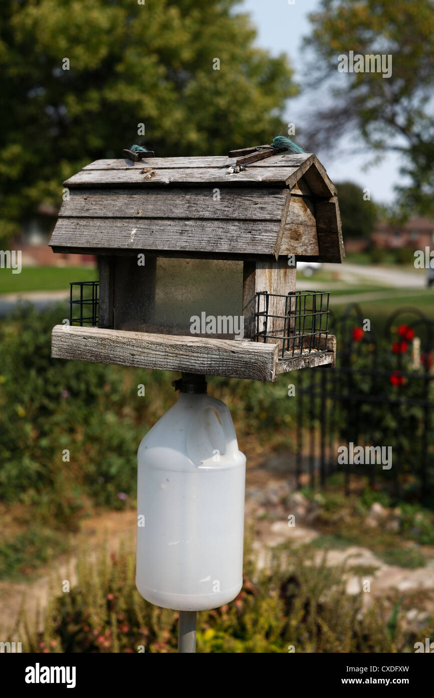 Bird feeder on pole with jug underneath. Stock Photo