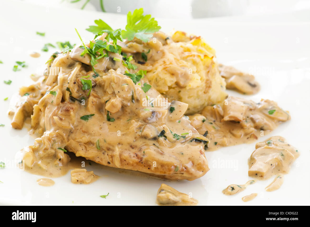 Chicken steak with cream mushroom sauce Stock Photo - Alamy