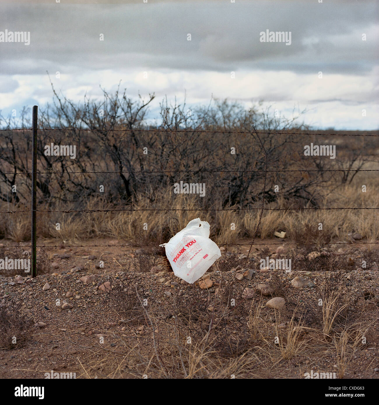 Plastic bag stuck on fence wire Stock Photo Alamy