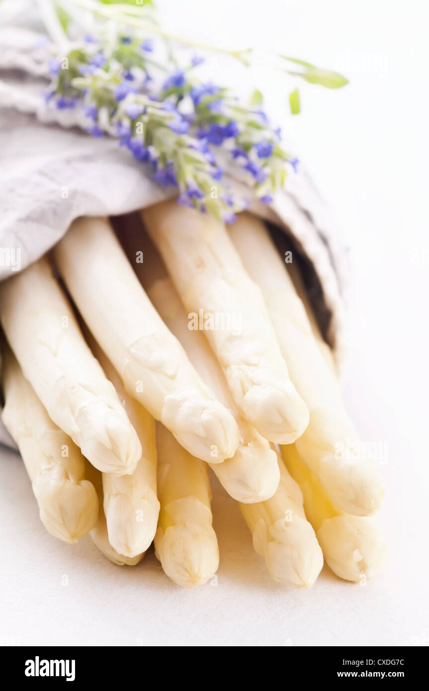 white asparagus Stock Photo