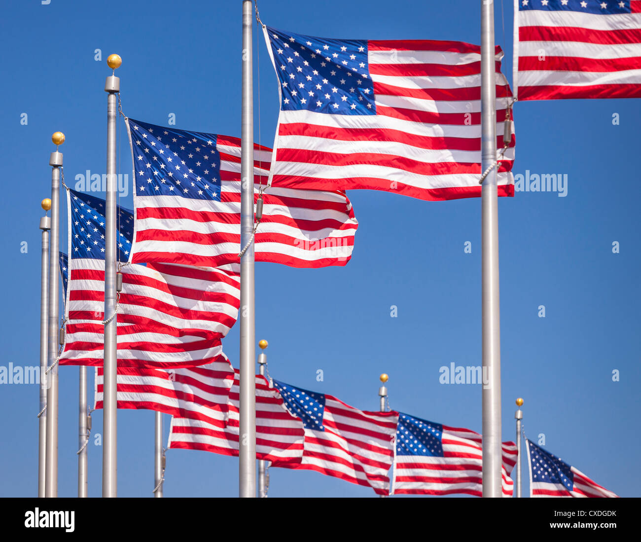 WASHINGTON, DC, USA - USA flags. Stock Photo