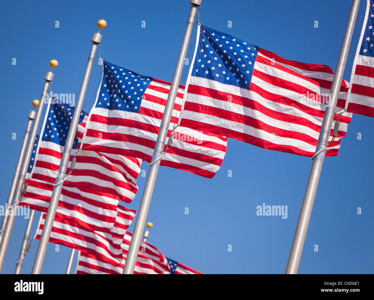 WASHINGTON, DC, USA - USA flags. Stock Photo