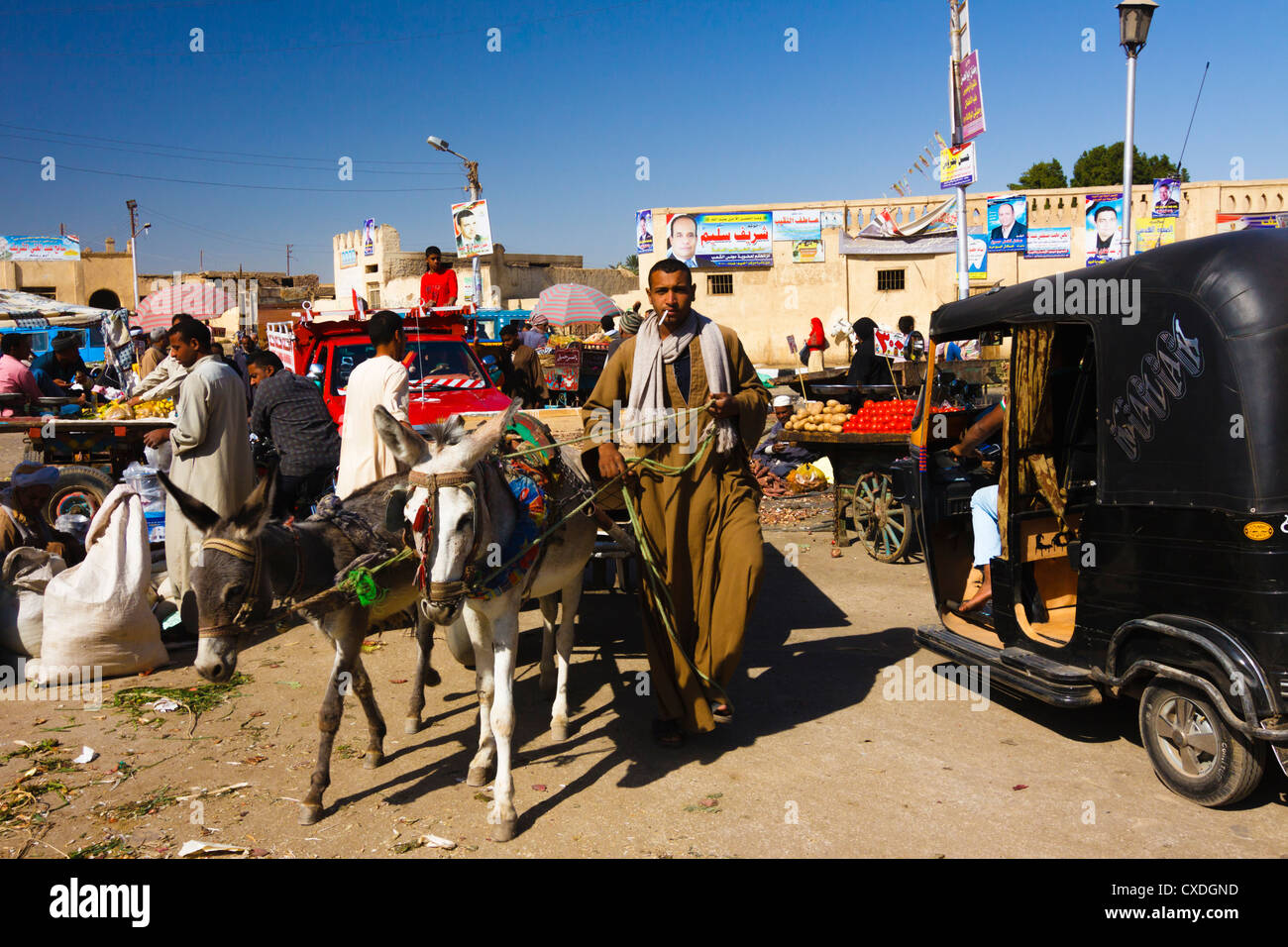 Man on a donkey cart by market stalls and motorickshaw in rural Egypt ...