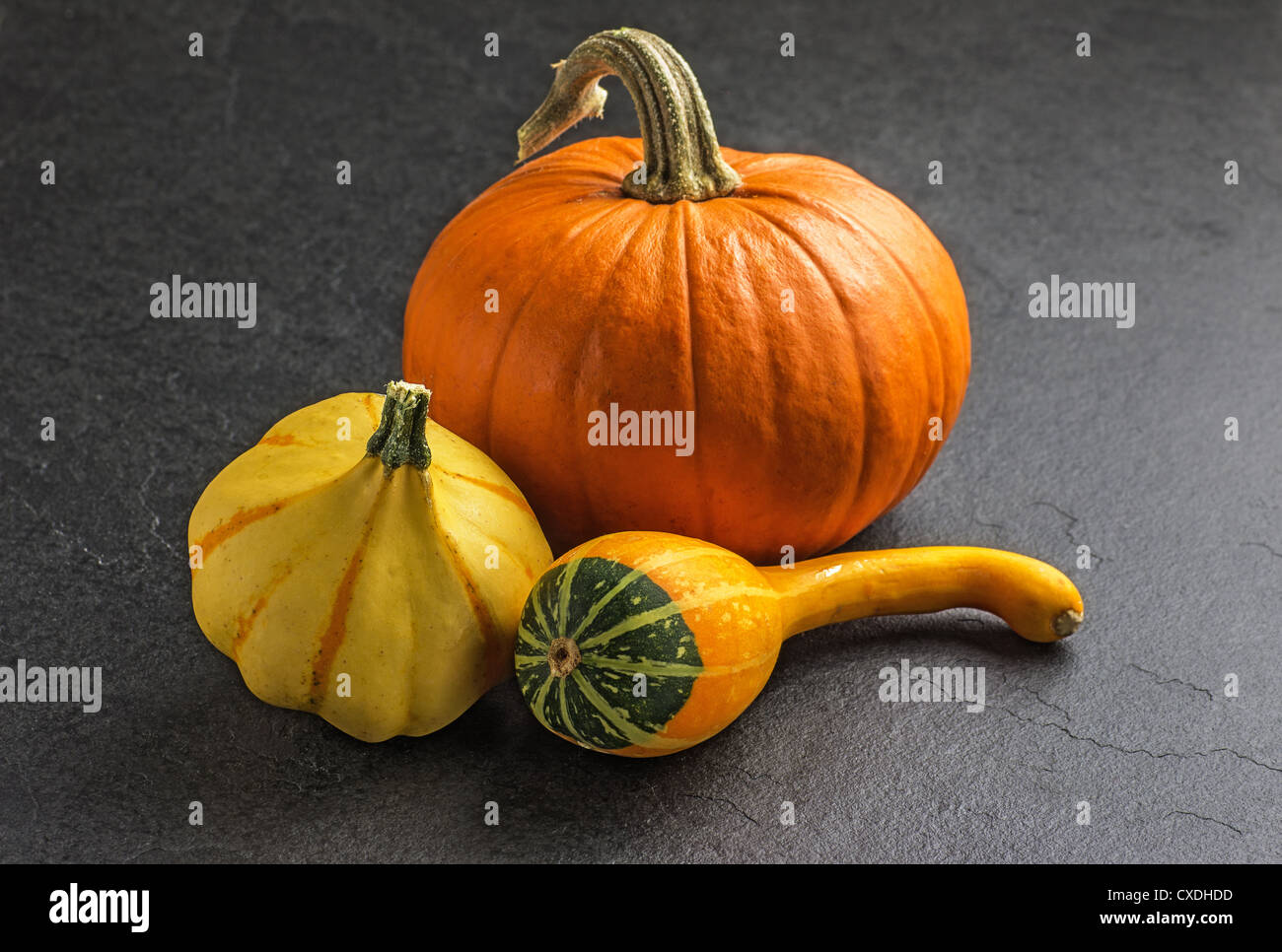 pumpkins on slate plate Stock Photo