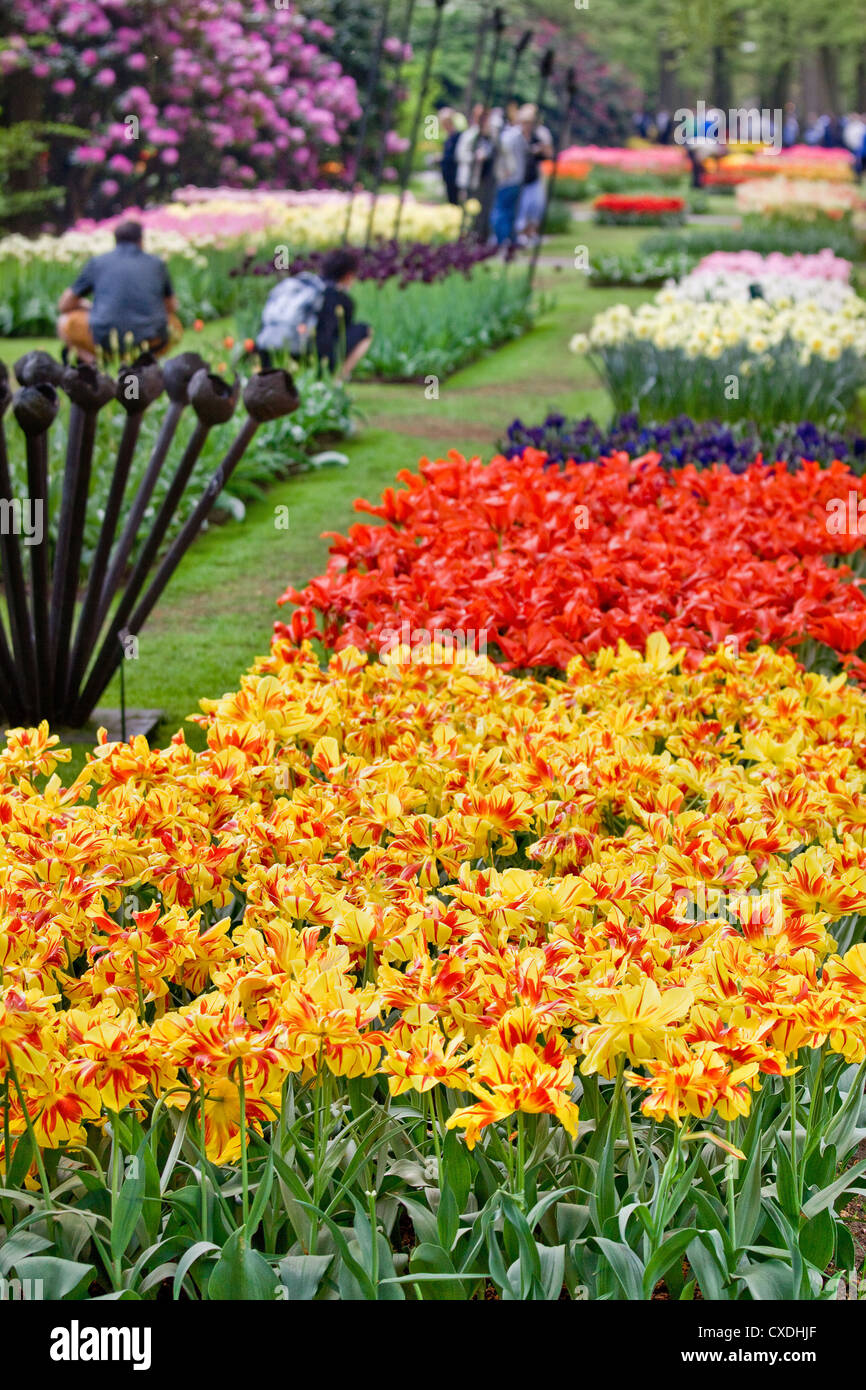 Beautiful garden of colorful flowers in spring - Keukenhof in Netherlands Stock Photo