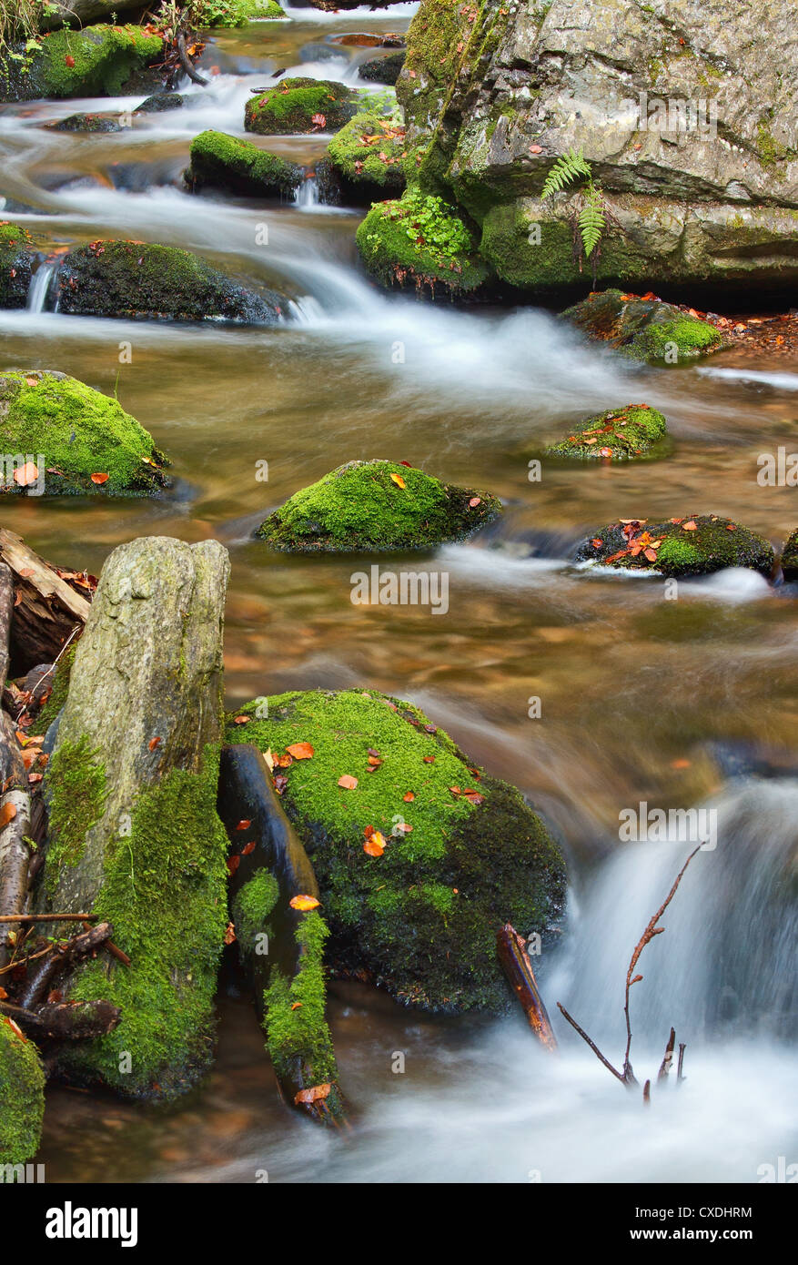 Autumn scene with cascading waterfall Stock Photo