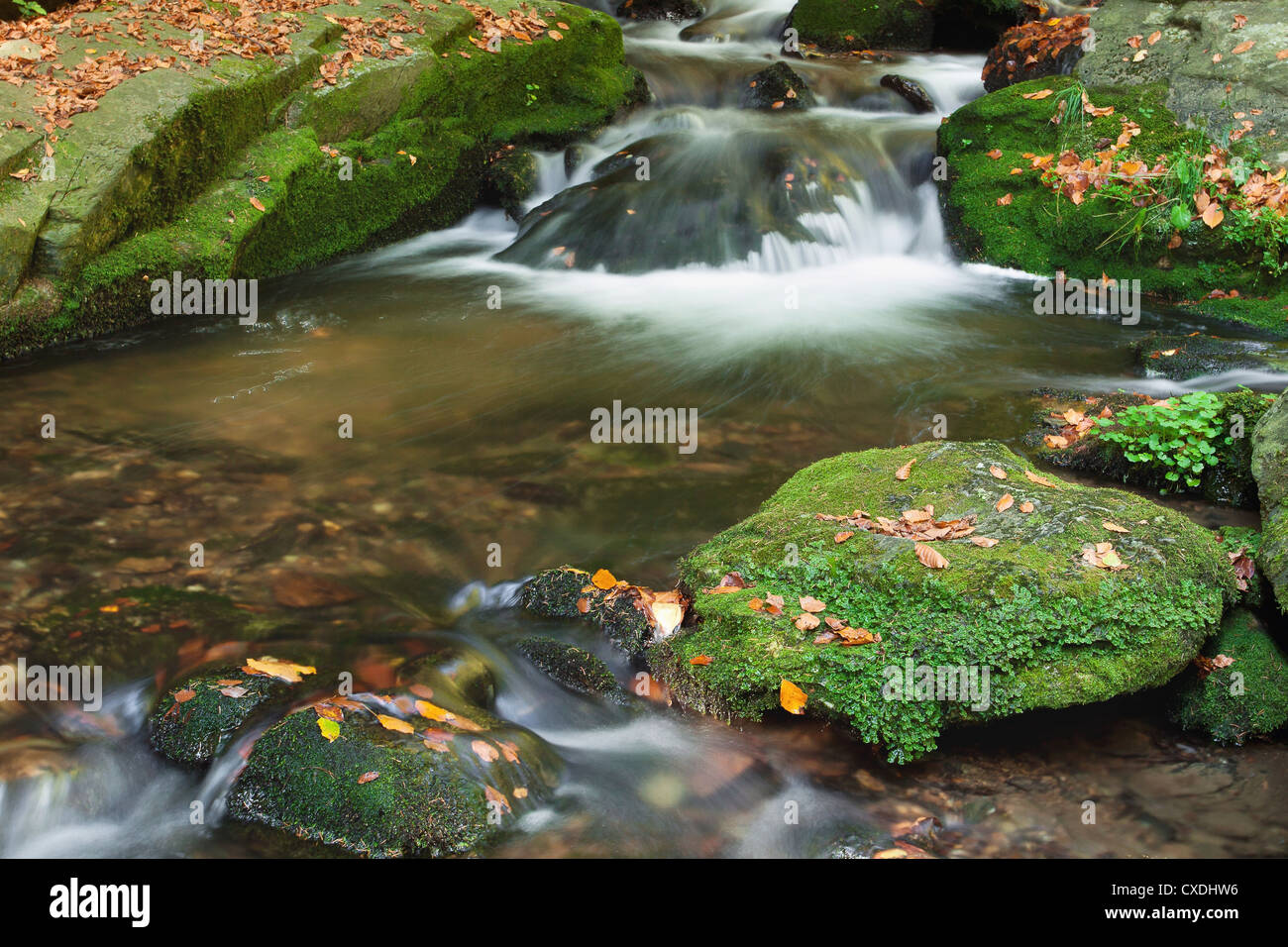 Autumn scene with cascading waterfall Stock Photo