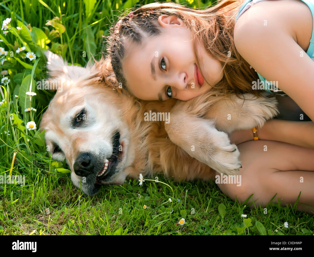 Little girl hugging a big dog Stock Photo - Alamy