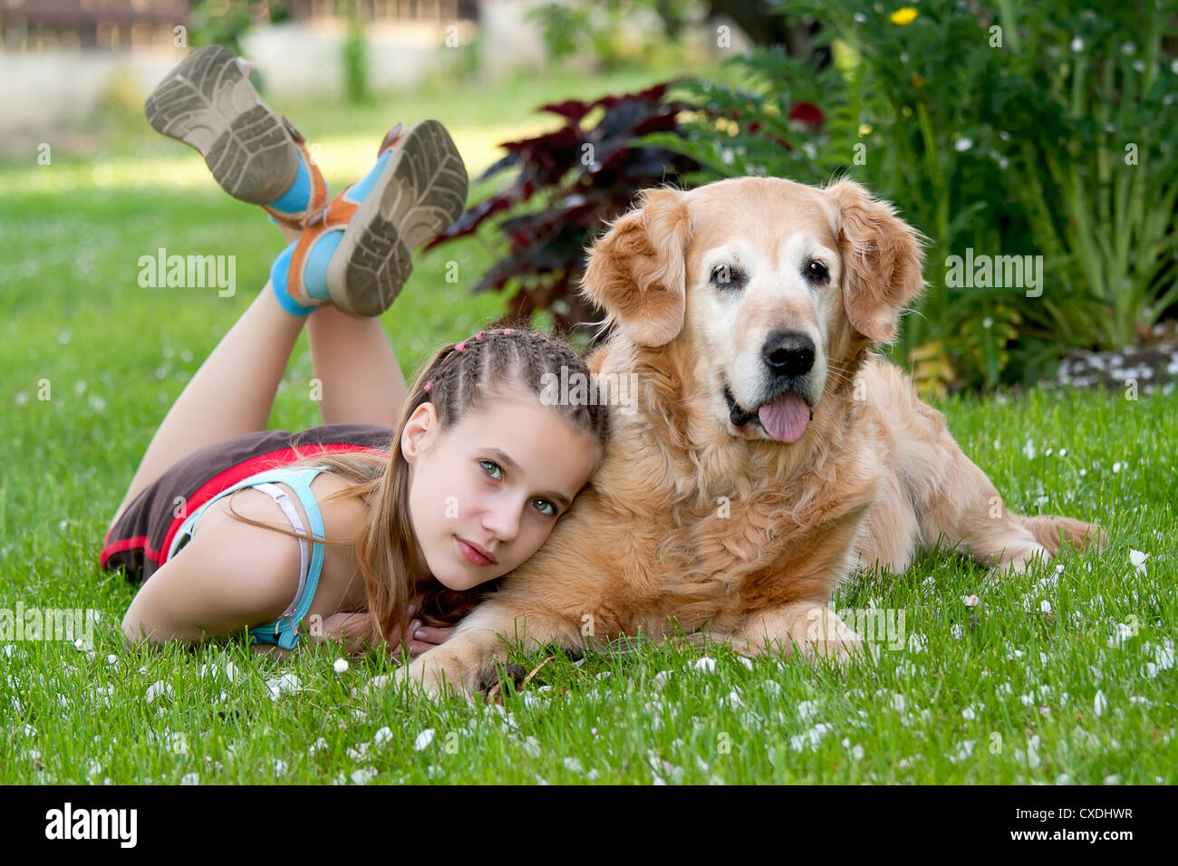 Little girl and a dog in an outdoor setting Stock Photo - Alamy