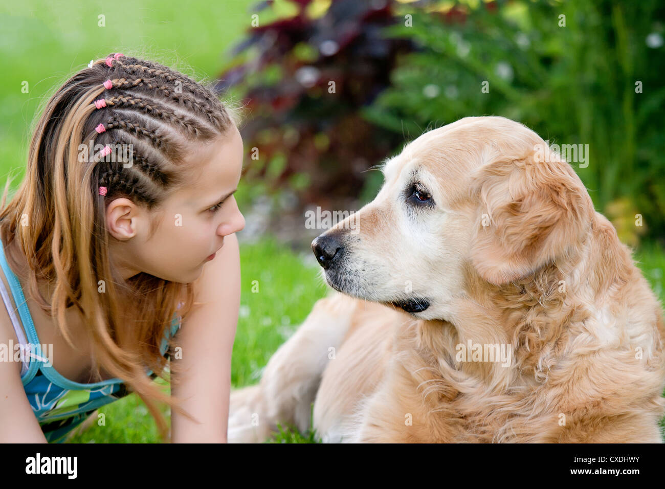 Little girl and a dog in an outdoor setting Stock Photo - Alamy