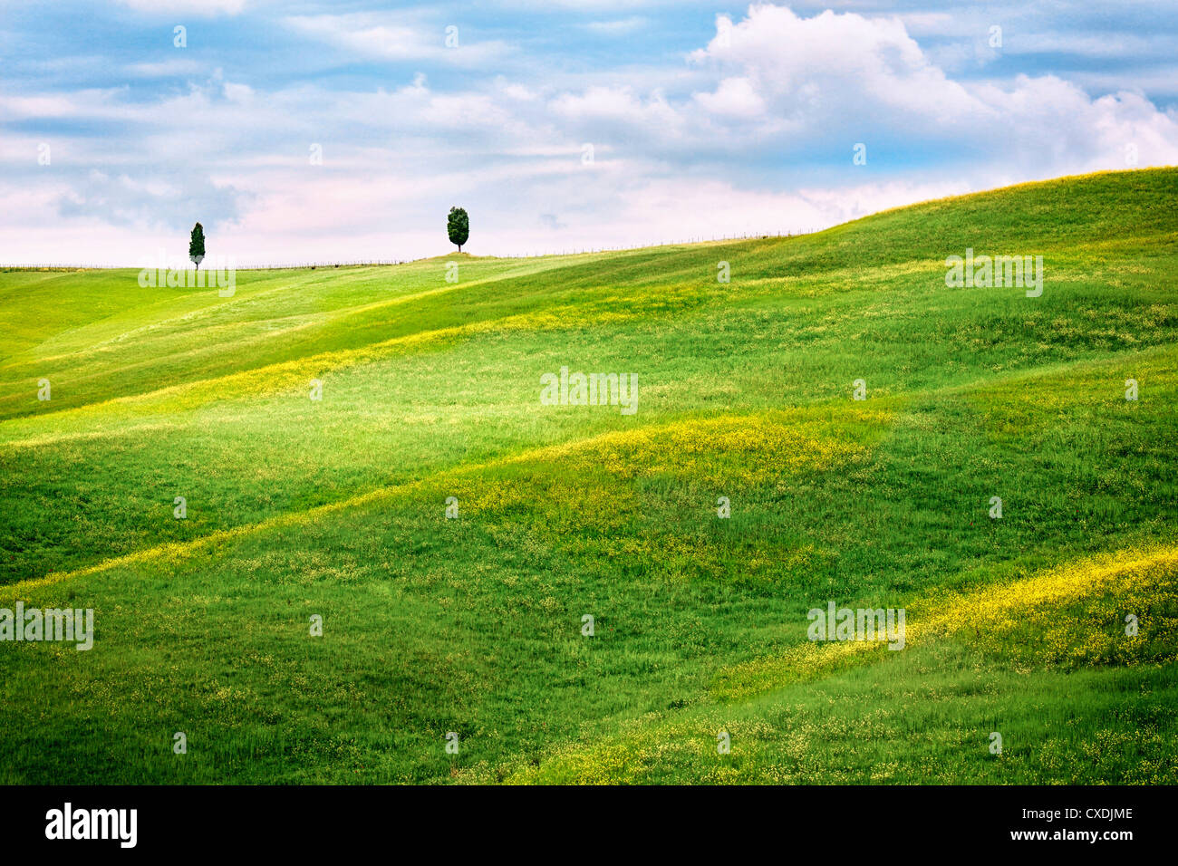 Hilly landscape of Tuscany Stock Photo