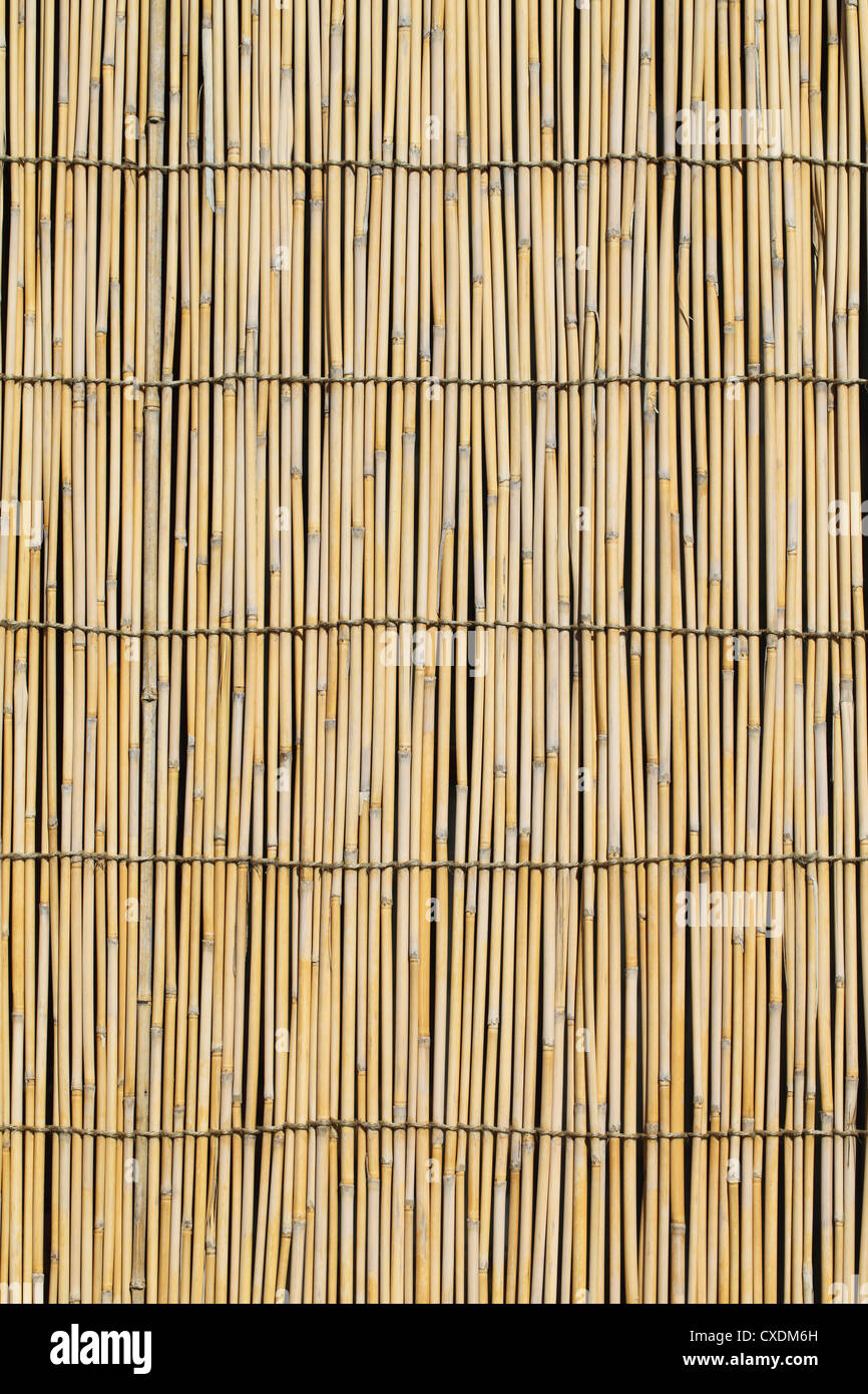 Bamboo curtain for use as nature background Stock Photo