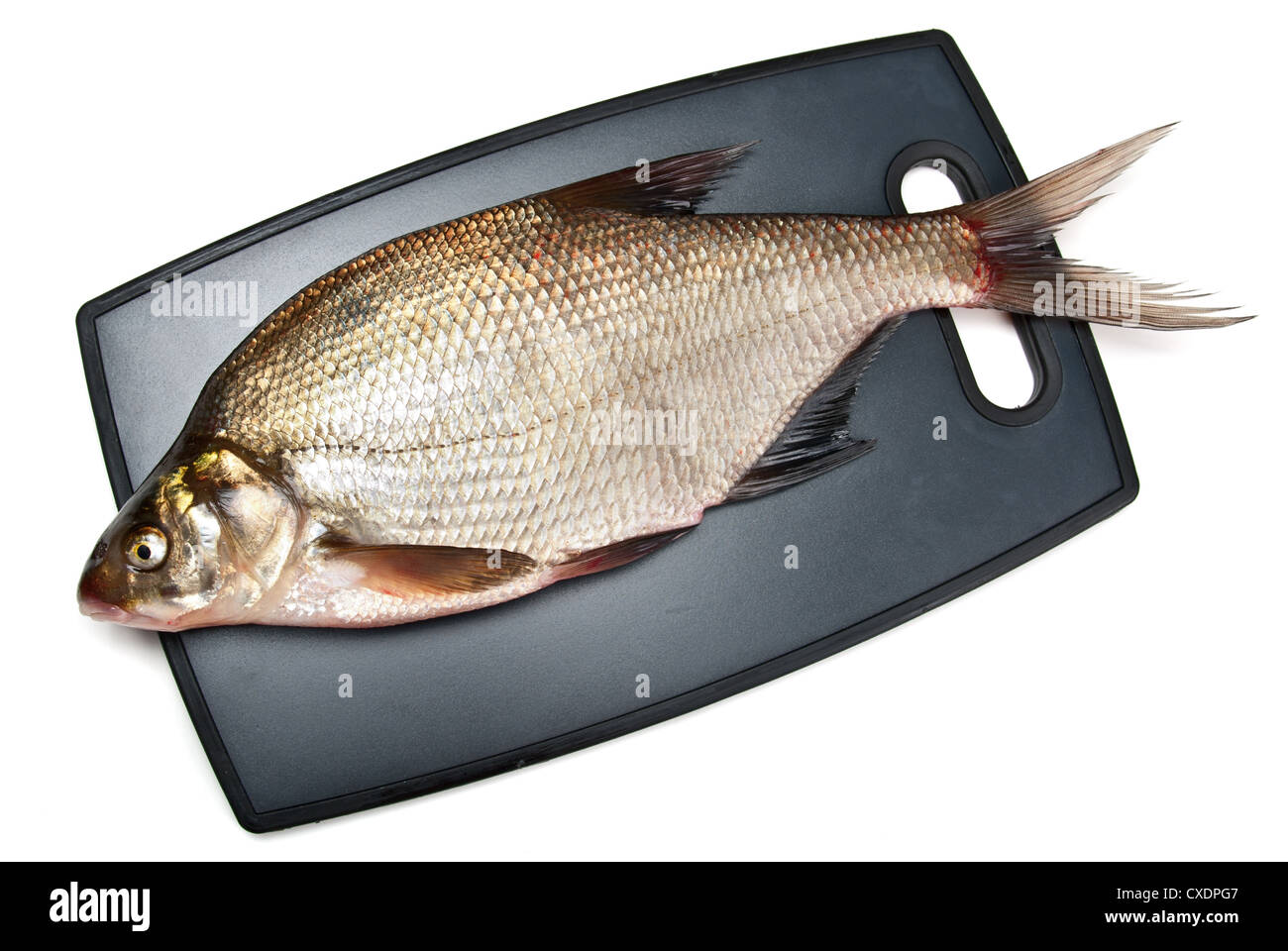 Fresh fish bream on a cutting board on a white background Stock Photo