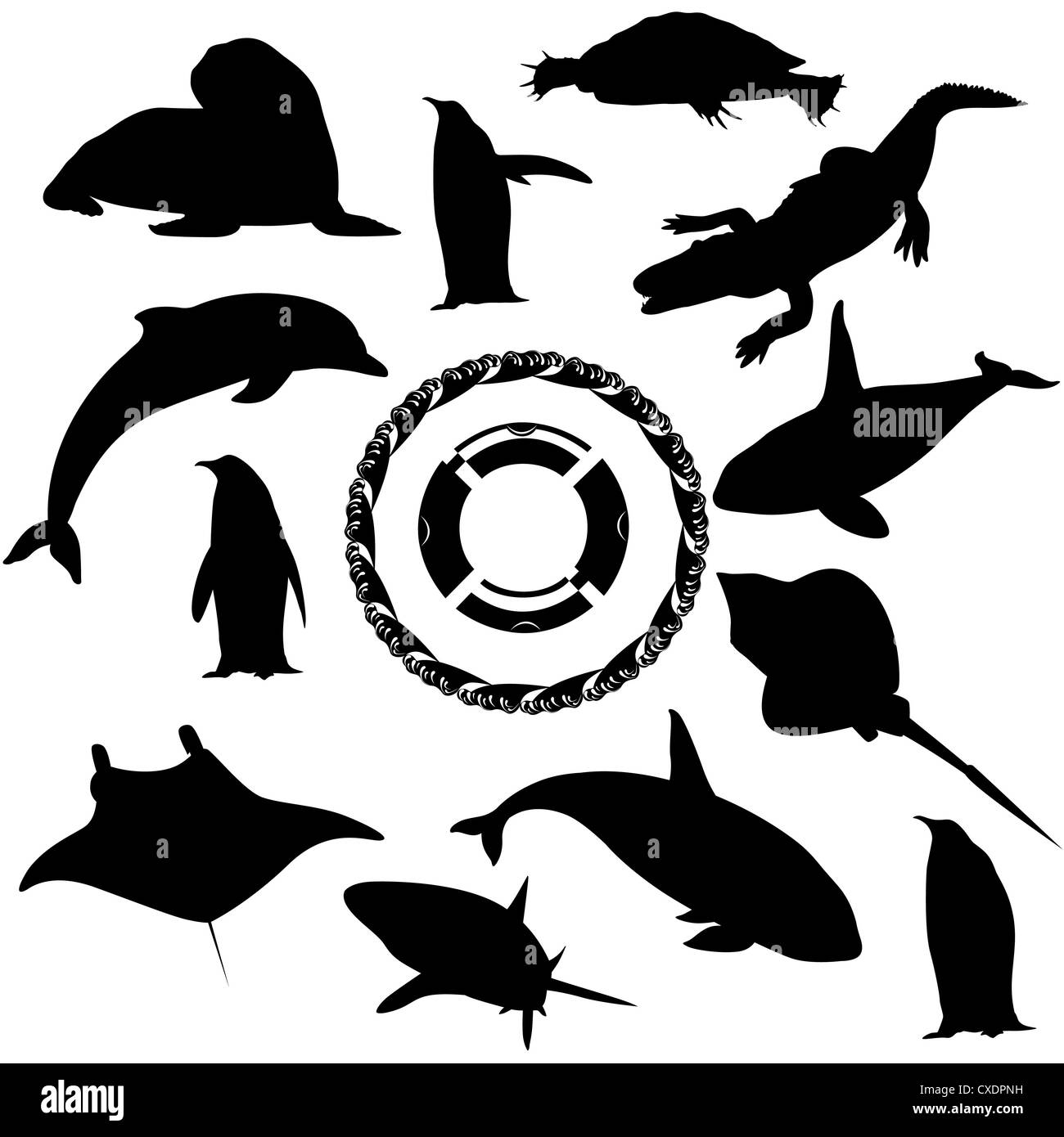 Marine fauna Stock Photo