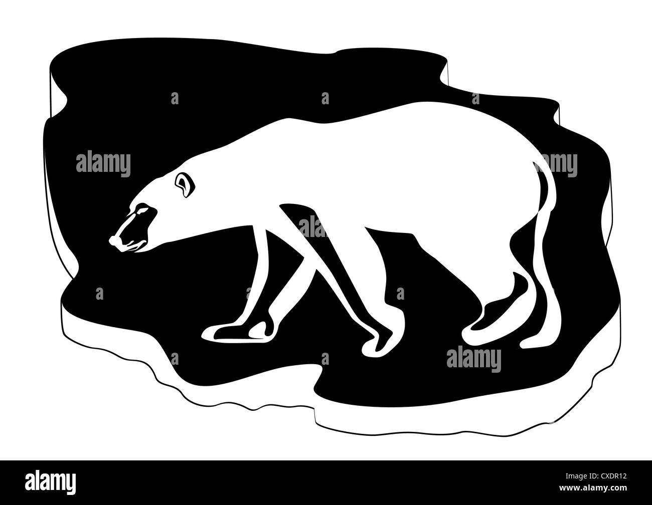 Polar bear on ice floe background. Black and white illustration Stock ...