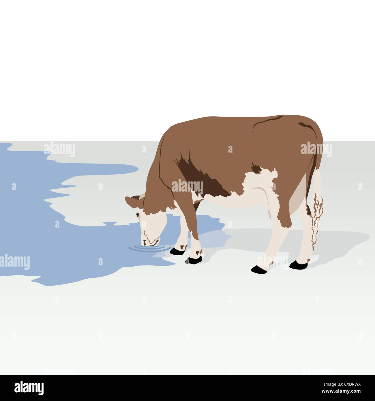 Cattle. Animal on the farm. Illustration on white background Stock ...